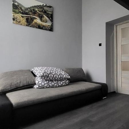 Ferienwohnung Apartament Pod Wieza Piotrków Trybunalski Exterior foto